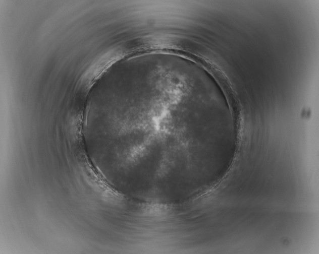 X0000114200785200910231342