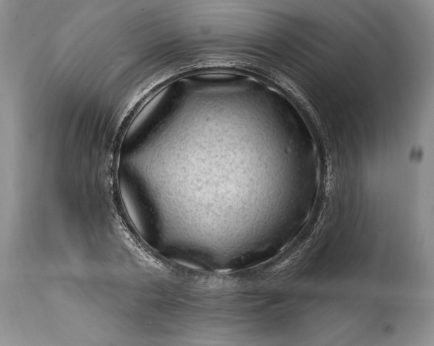 X0000114200786200910231342