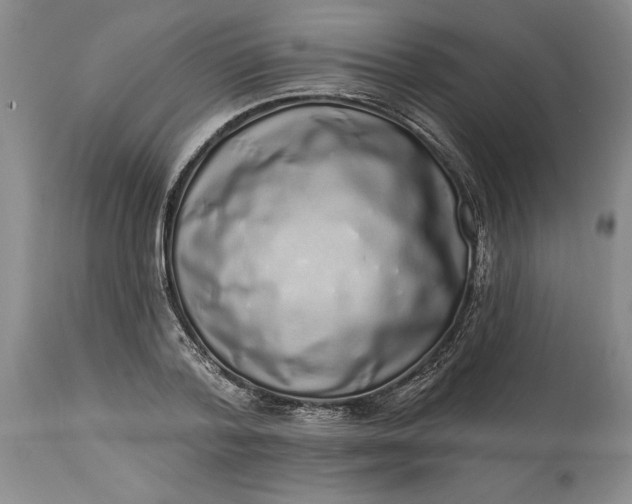 X0000114200788200910231342