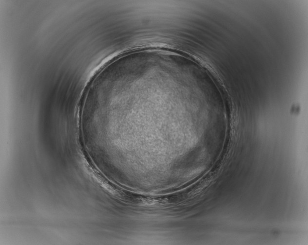 X0000114200790200910231342