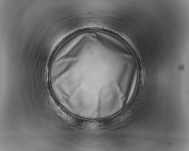 X0000114200791200910231342