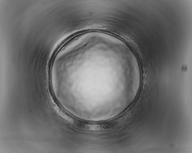 X0000114200792200910231342