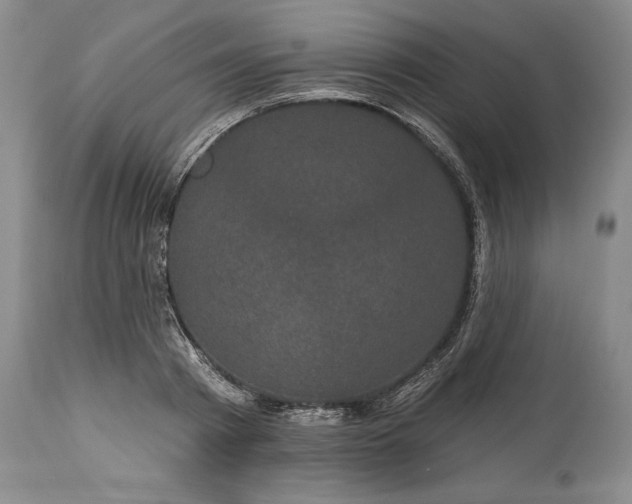 X0000114200793200910231342