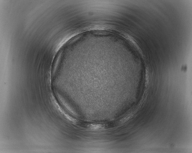 X0000114200794200910231342