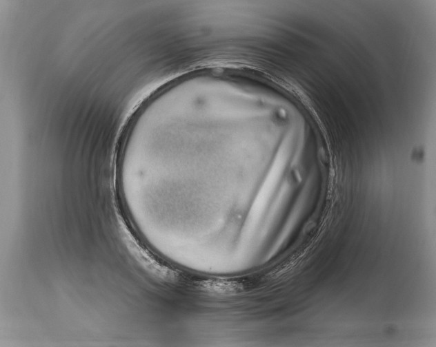 X0000114200795200910231342