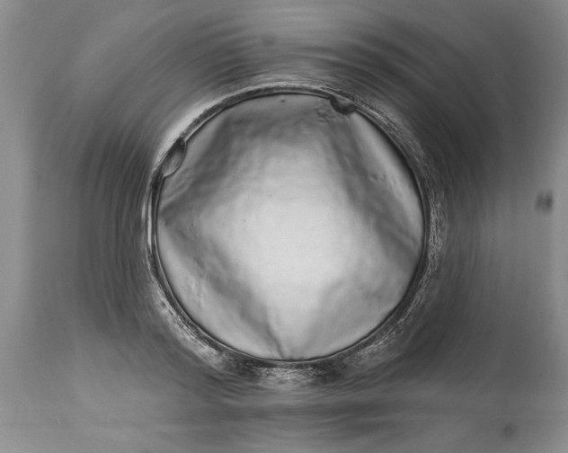 X0000114200796200910231342