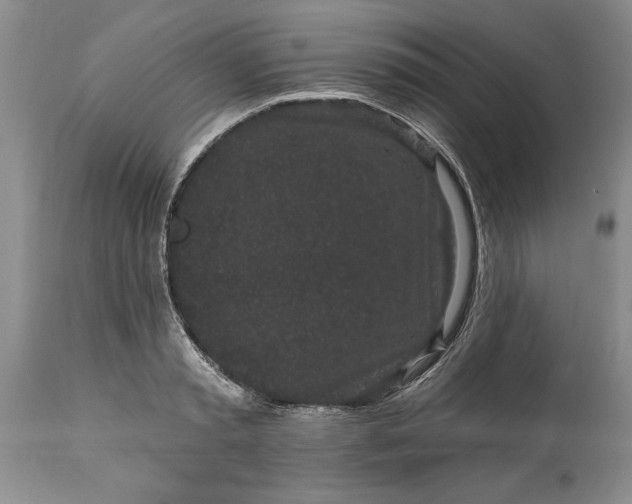 X0000114200797200910231342