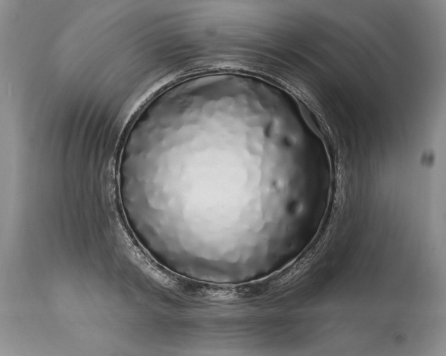 X0000114200798200910231342