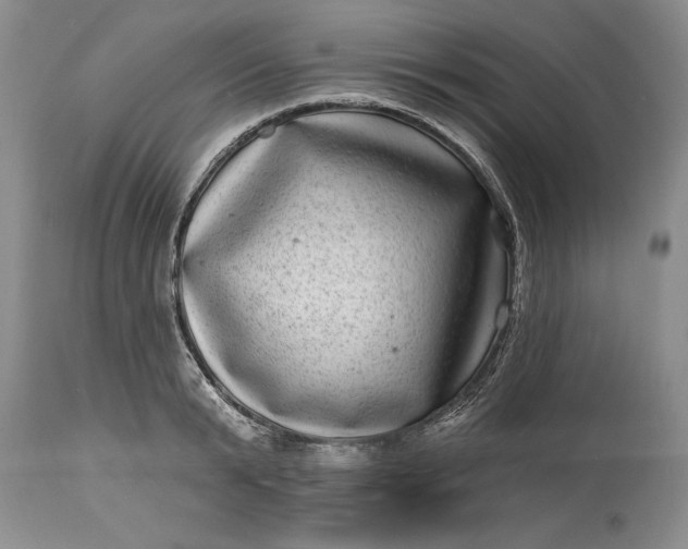 X0000114200799200910231342