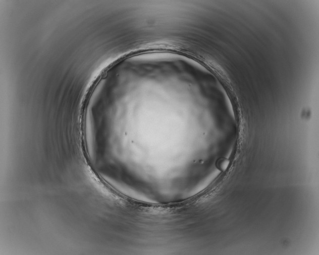 X0000114200800200910231342