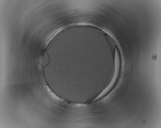 X0000114200801200910231342