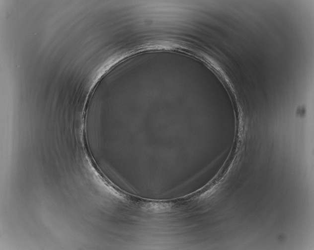 X0000114200802200910231342