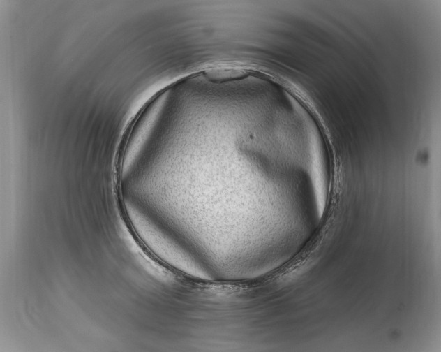 X0000114200803200910231342