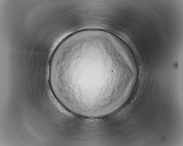 X0000114200804200910231342