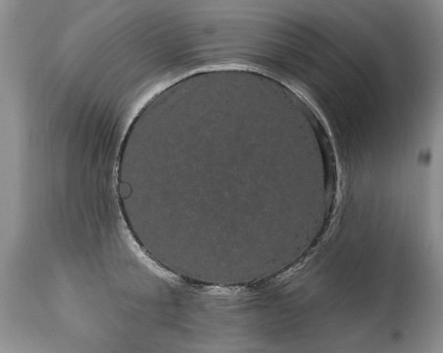 X0000114200805200910231342