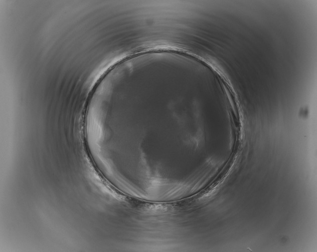 X0000114200806200910231342