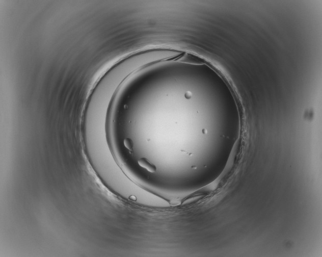 X0000114200807200910231342