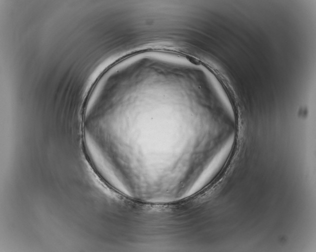 X0000114200808200910231342