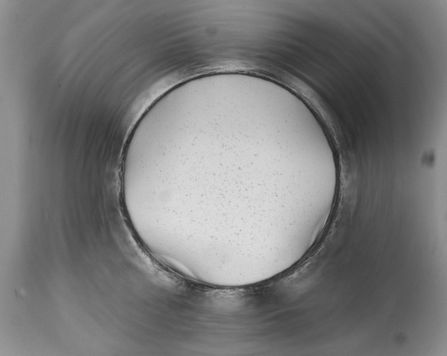 X0000114200810200910231342