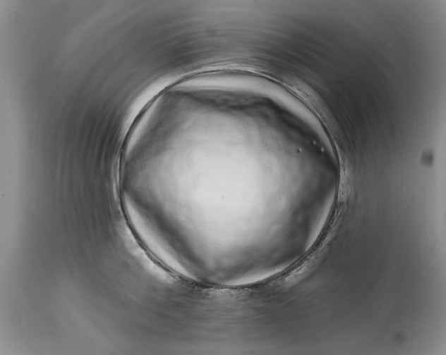 X0000114200812200910231342