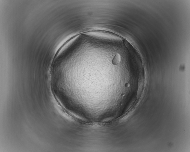 X0000114200814200910231342