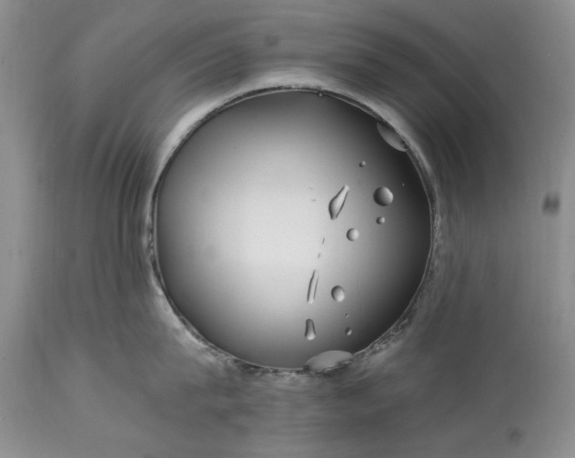 X0000114200815200910231342