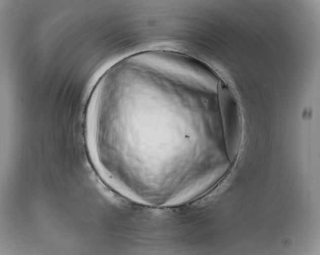 X0000114200816200910231342