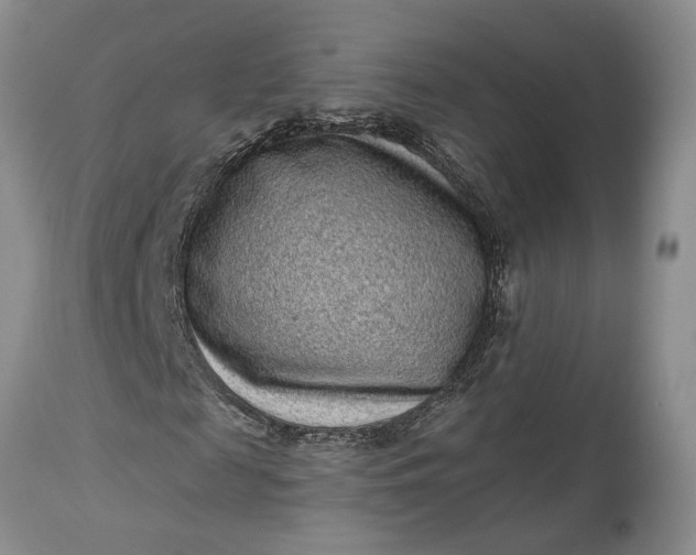 X0000114200817200910231341