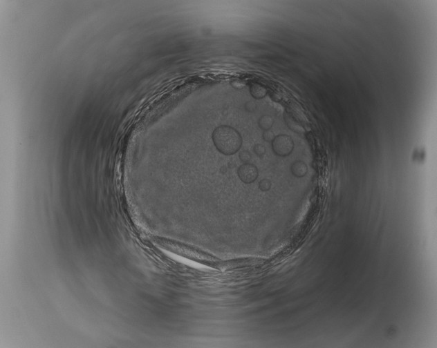 X0000114200818200910231341