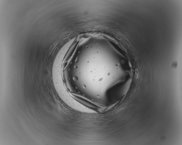 X0000114200820200910231341