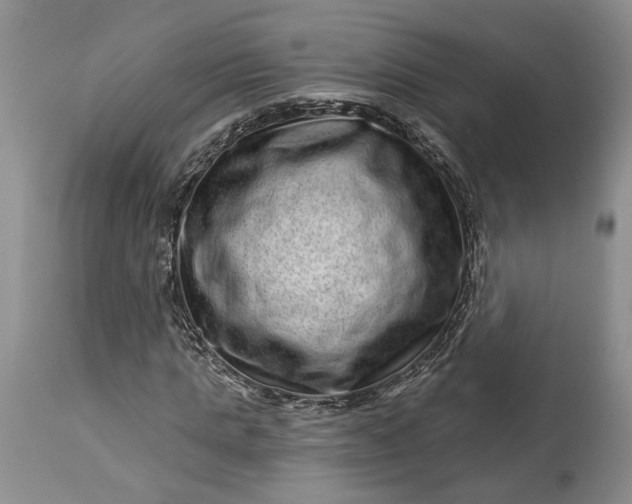 X0000114200821200910231341