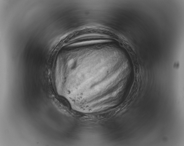 X0000114200822200910231341