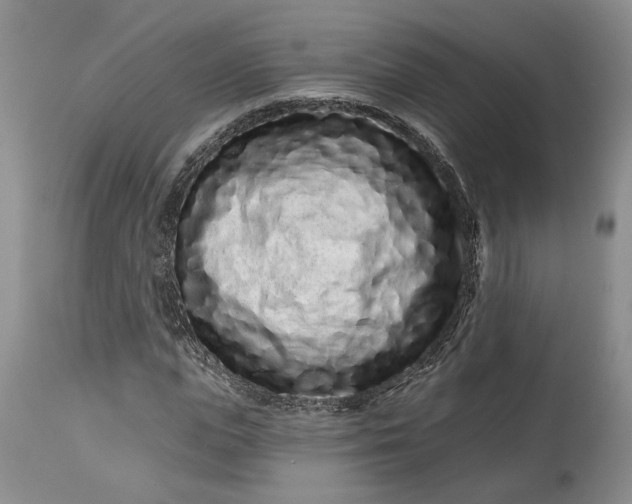 X0000114200823200910231341