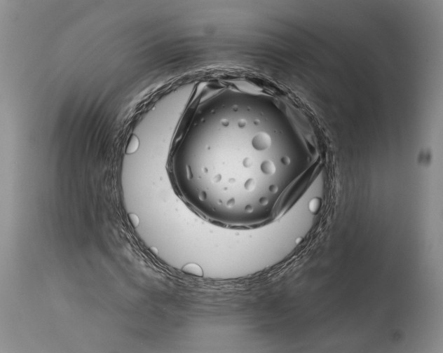 X0000114200824200910231341