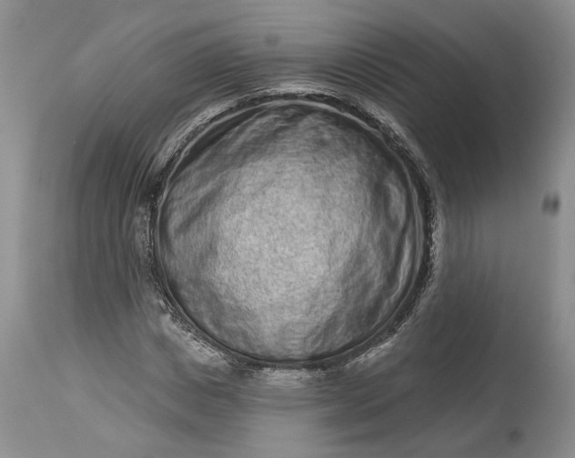 X0000114200825200910231341