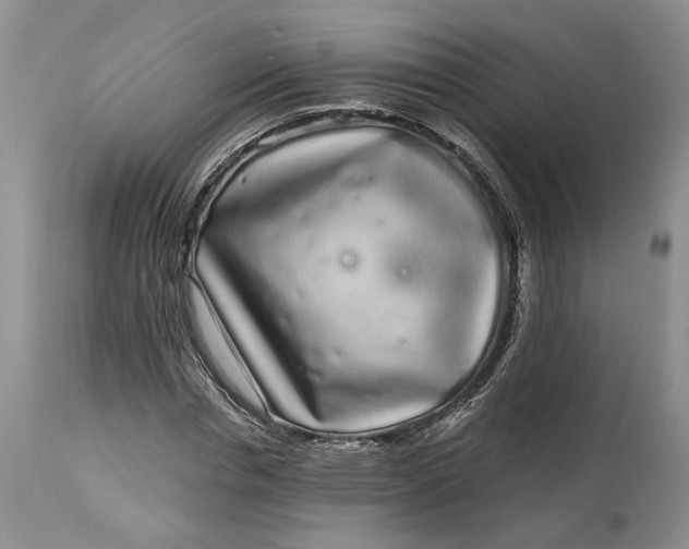 X0000114200826200910231341