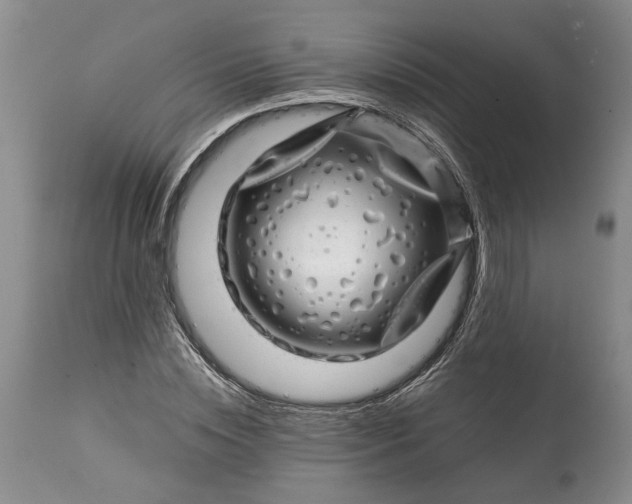 X0000114200828200910231341