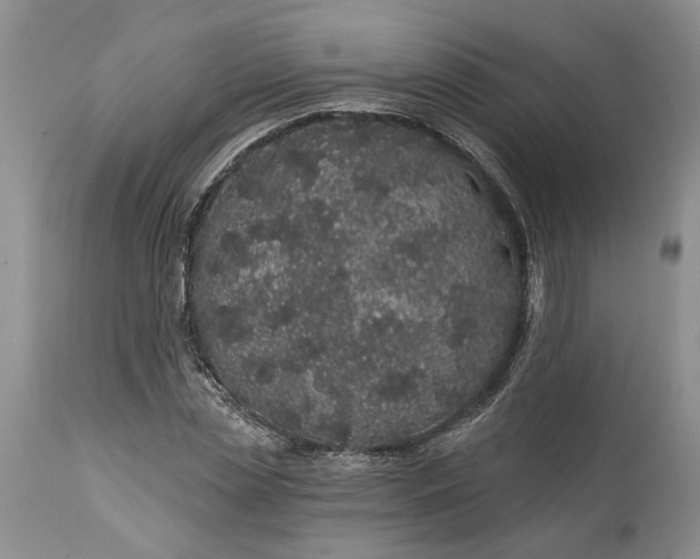 X0000114200829200910231341