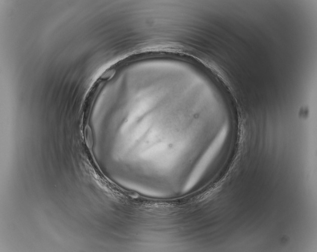 X0000114200830200910231341