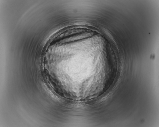 X0000114200831200910231341