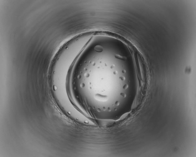 X0000114200832200910231341