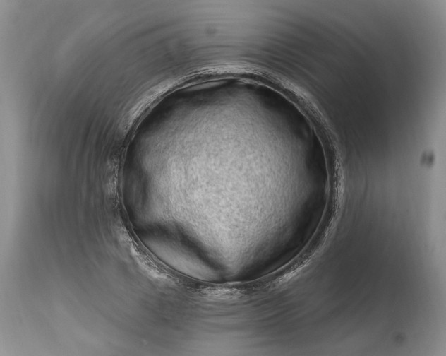 X0000114200833200910231341