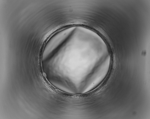 X0000114200834200910231341