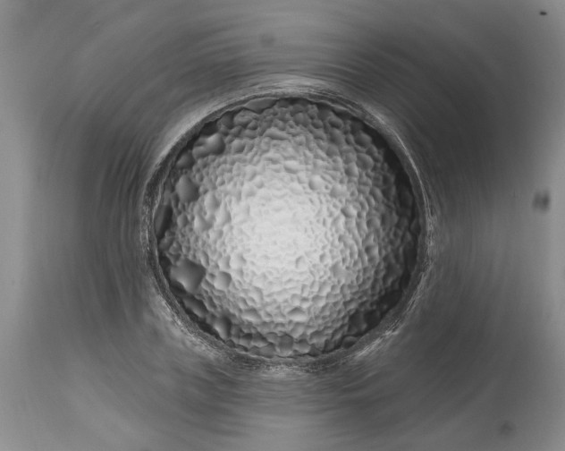 X0000114200835200910231341