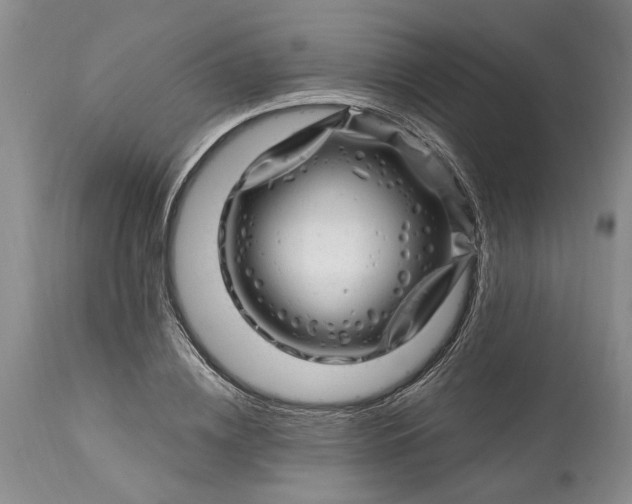 X0000114200836200910231341