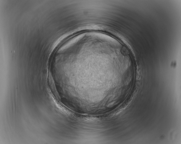 X0000114200837200910231341