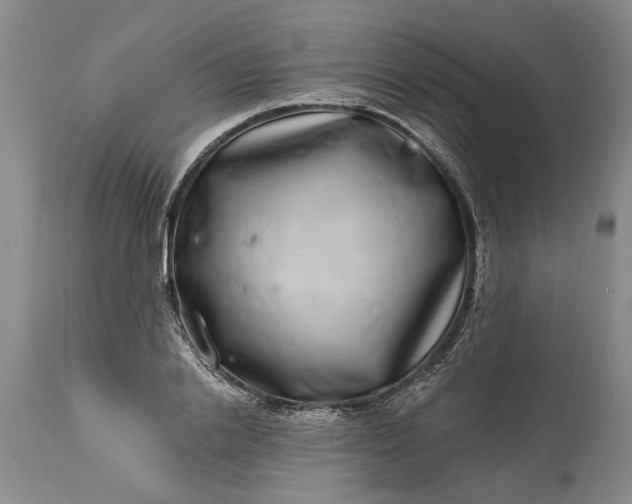 X0000114200838200910231341