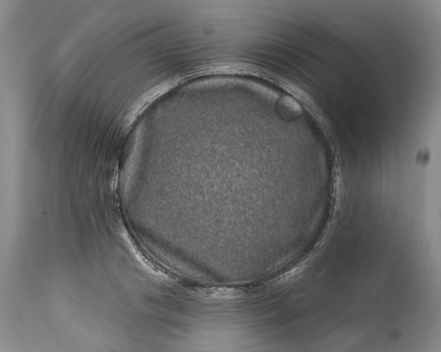 X0000114200841200910231341