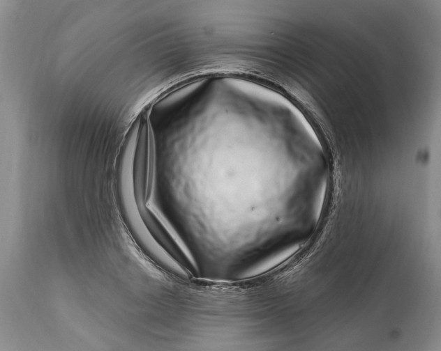 X0000114200842200910231341