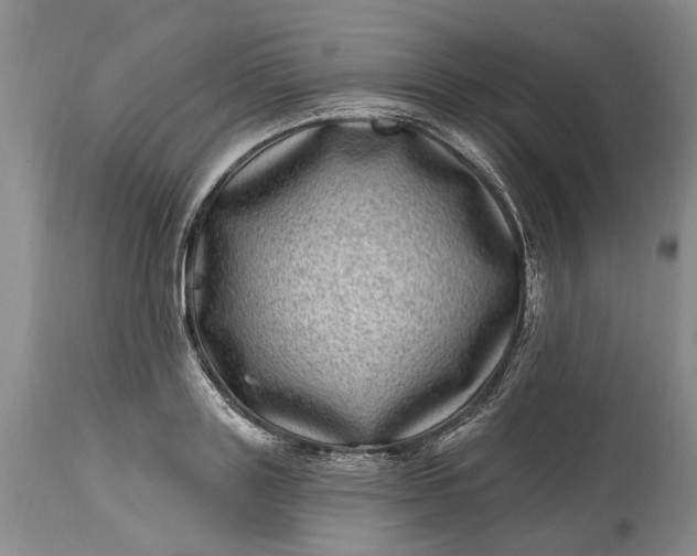 X0000114200843200910231341